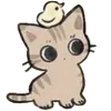 🐈