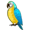🦜