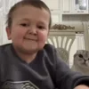 🐱