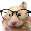 🤓