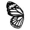 🦋