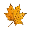 🍂