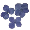💐