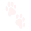 🐾