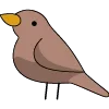 🐤