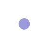 🟣