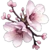 🌸