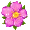 🌸