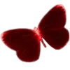 🦋