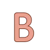 🟤