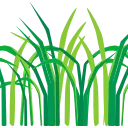 🌿