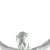 ⭐️