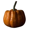 🍂