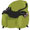 🐈‍⬛