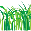 🌿