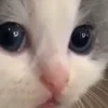 👀