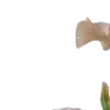 🌫️