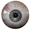 👁
