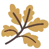 🍂