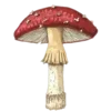 🍄