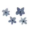 🪻