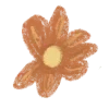 🌺