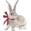 🐰