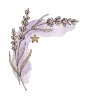ℹ️