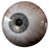 👁