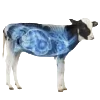 🐄