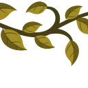 🌿