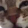 😑