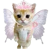 🐱