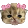 Хомяк в шляпи — Telegram emoji pack