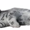 ✋