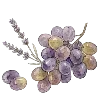 🍇