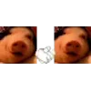 🐷