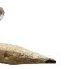 🌫️