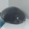 🦭