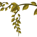 🌿