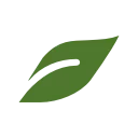 🌱