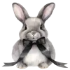 🐇