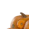 🍂