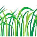 🌿