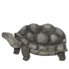 🐢