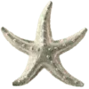 ⭐