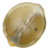 🍋