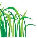 🌿