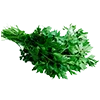 🥦