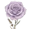 🌹